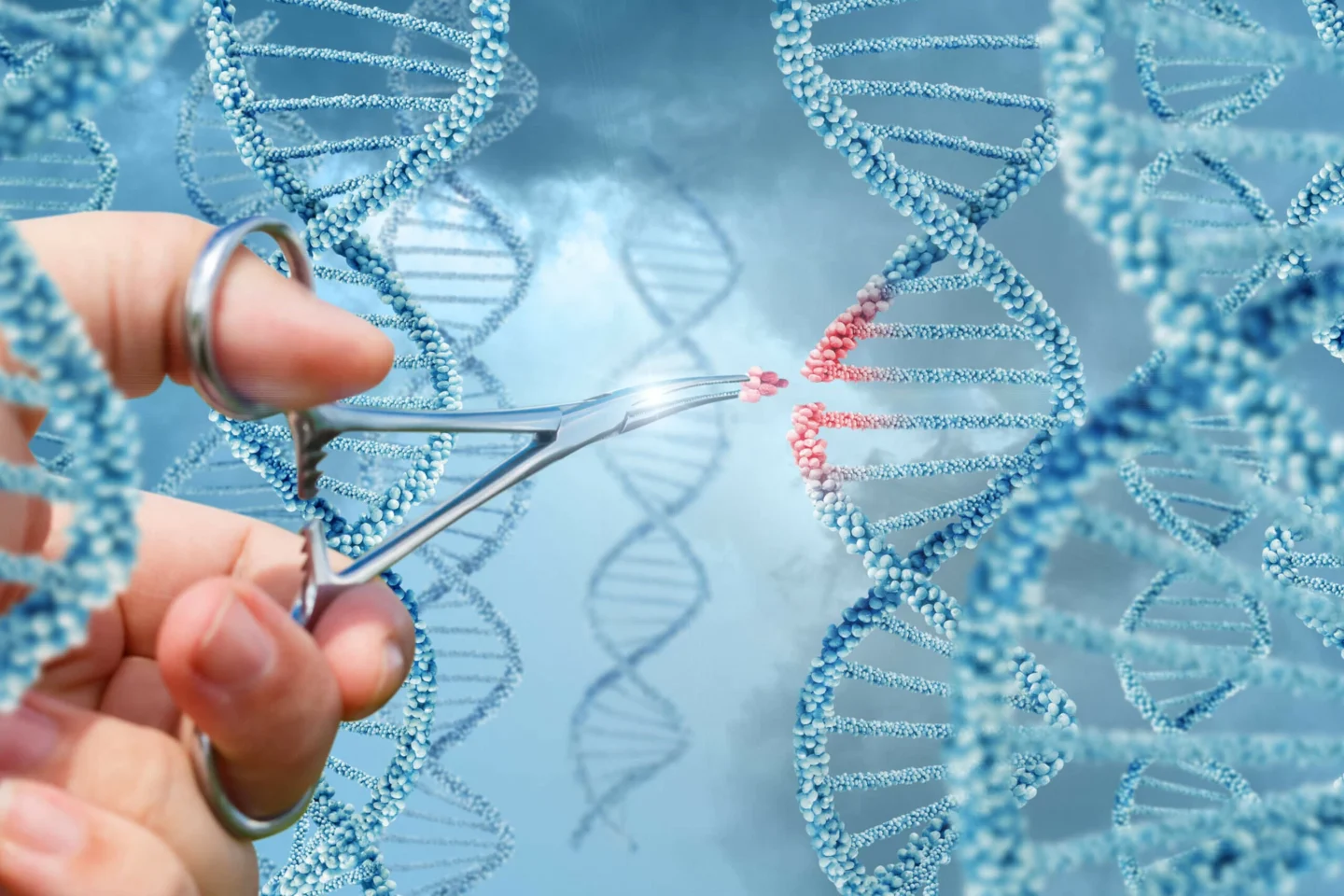 Playing God: Human Cloning, Intellectual Property and the Legal Limits of Owning Life