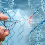 human cloning