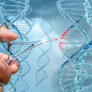 human cloning